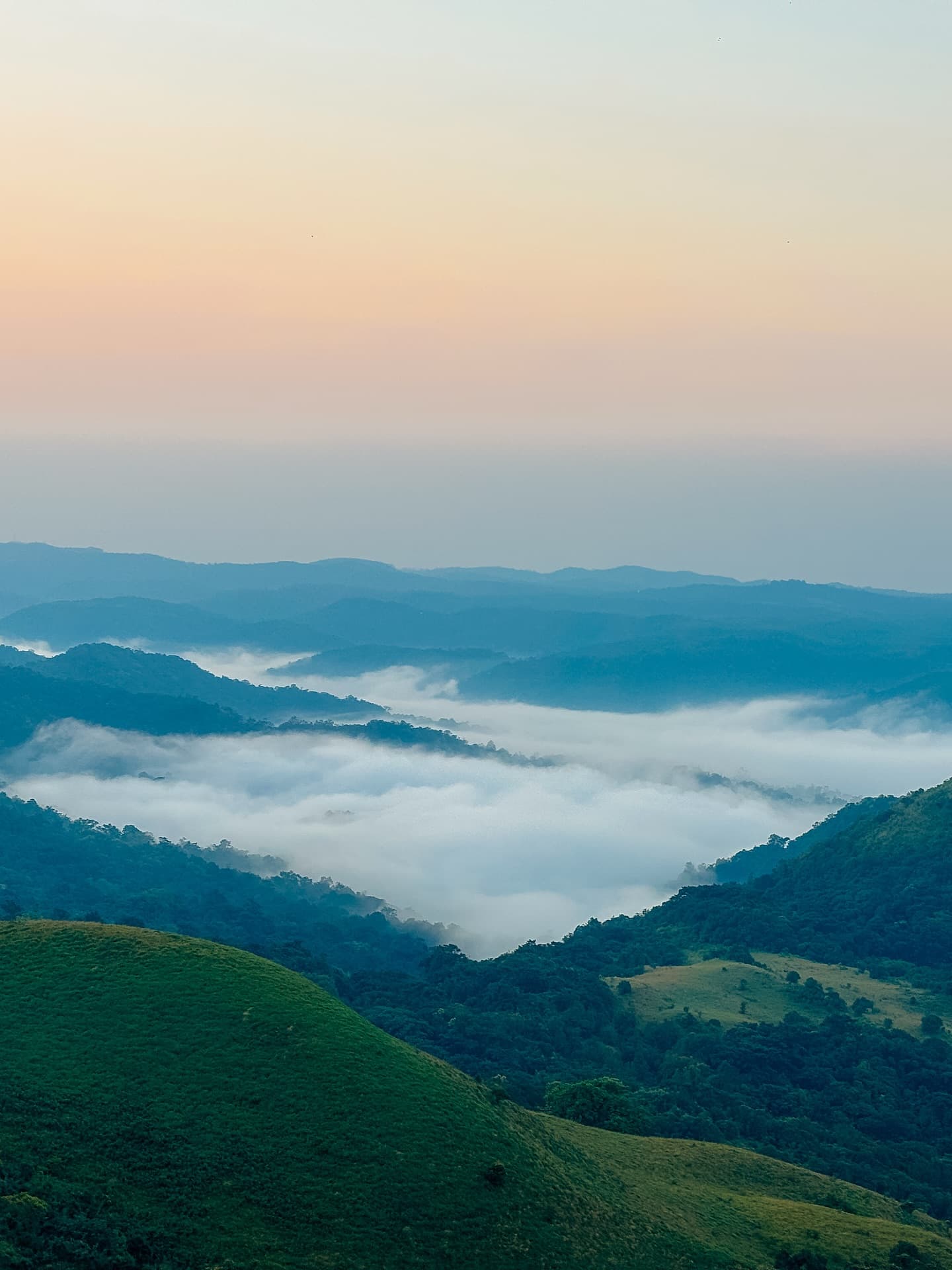 Coorg Mysore Tour Package