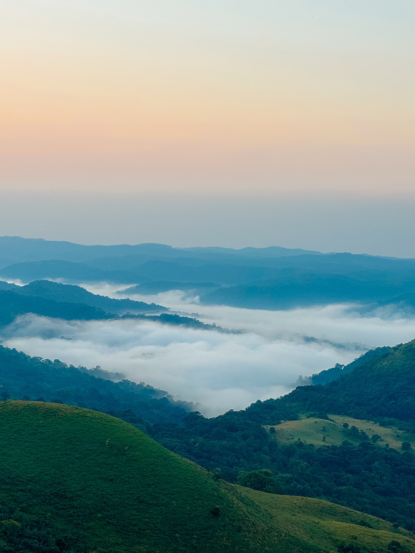 Coorg & Mysore