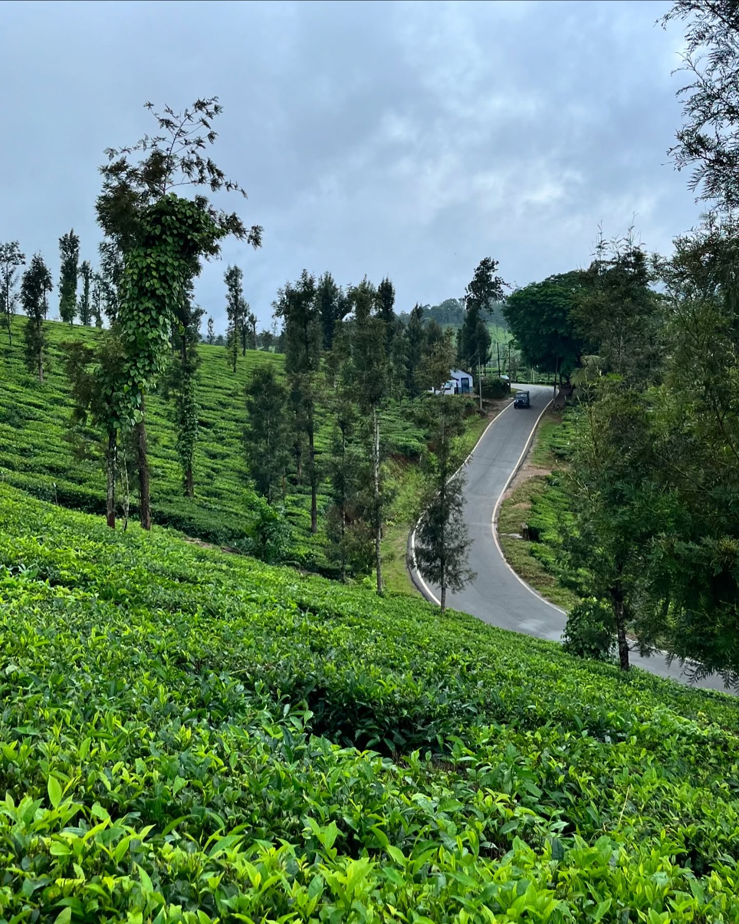 Coorg