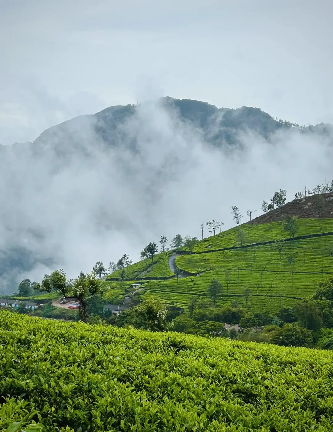 Ooty