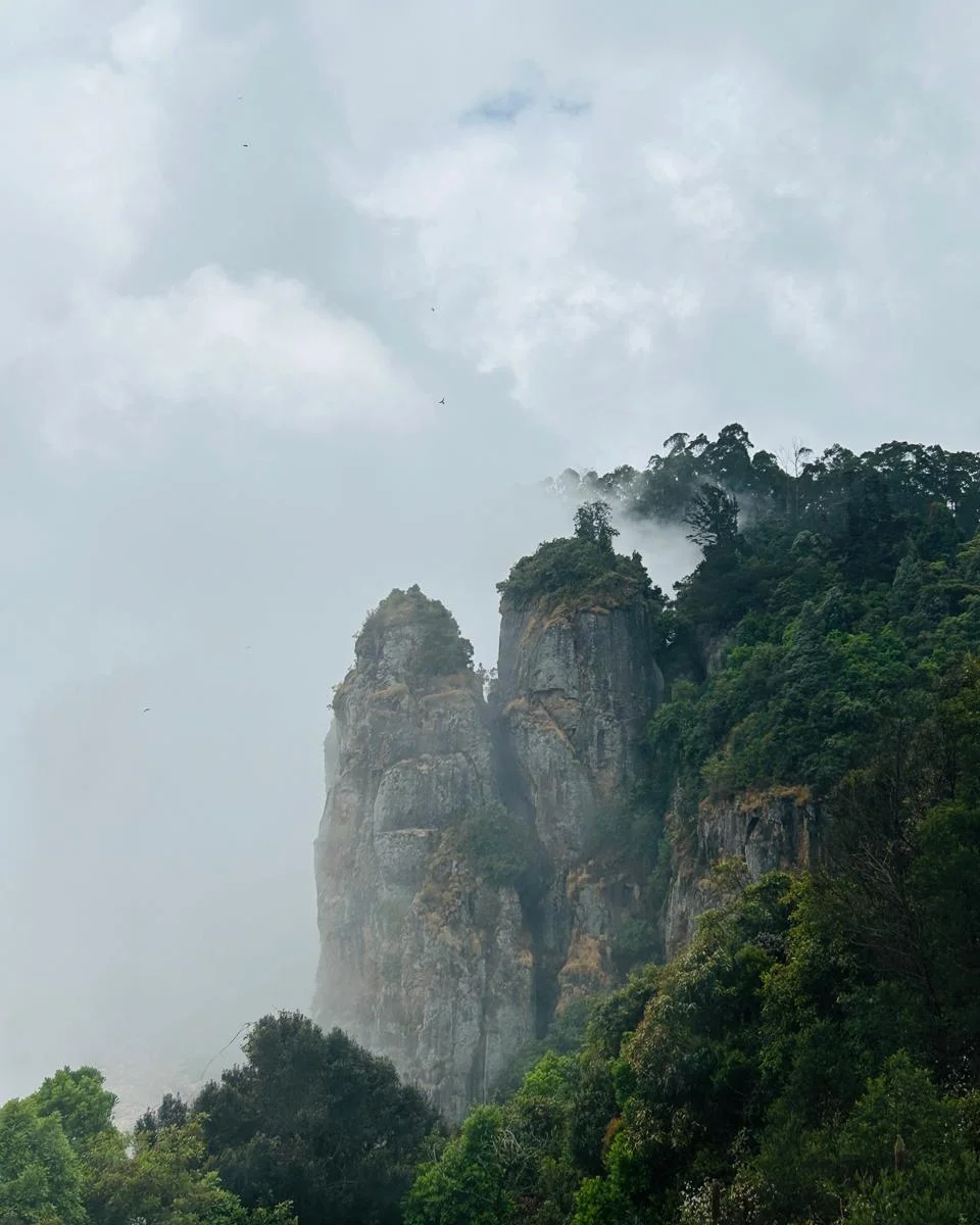 Ooty & Kodaikanal
